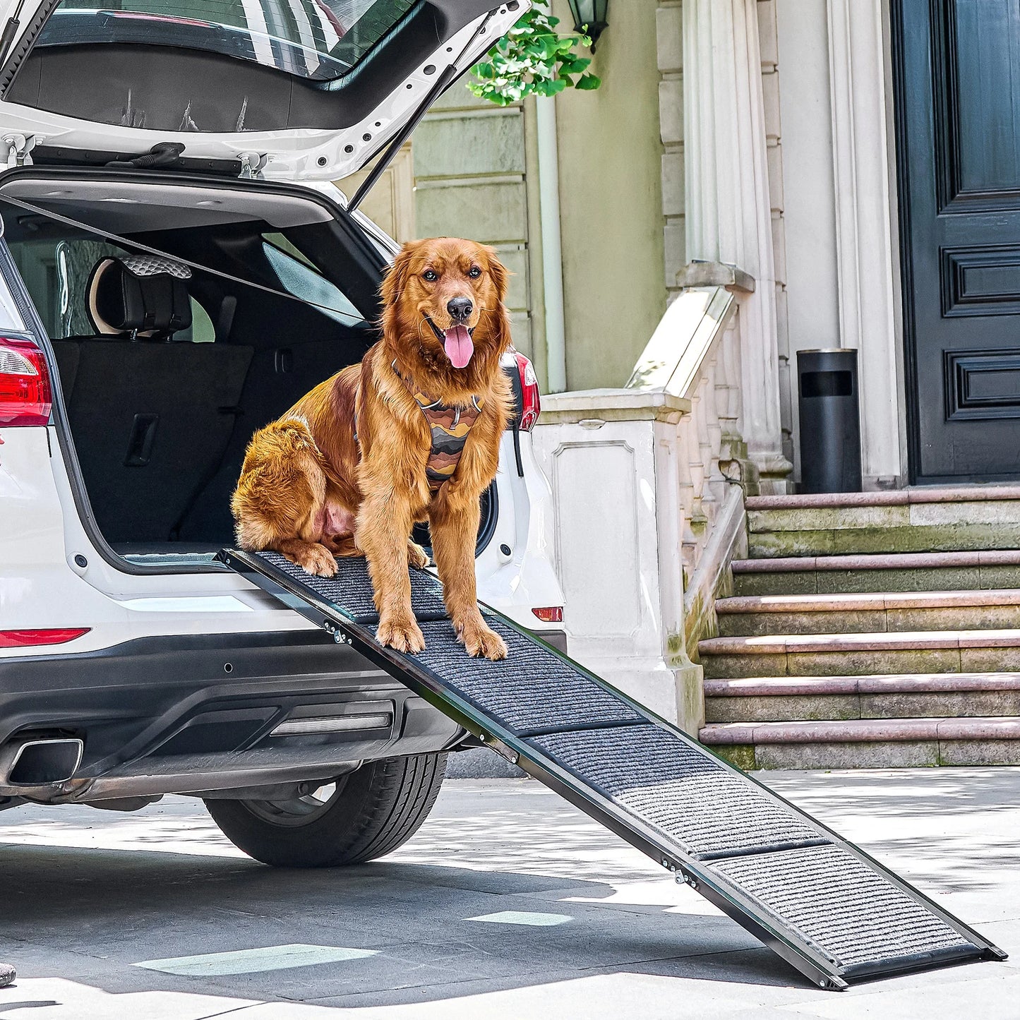63" Folding Pet Ramp for Large Dogs- 17" Wide