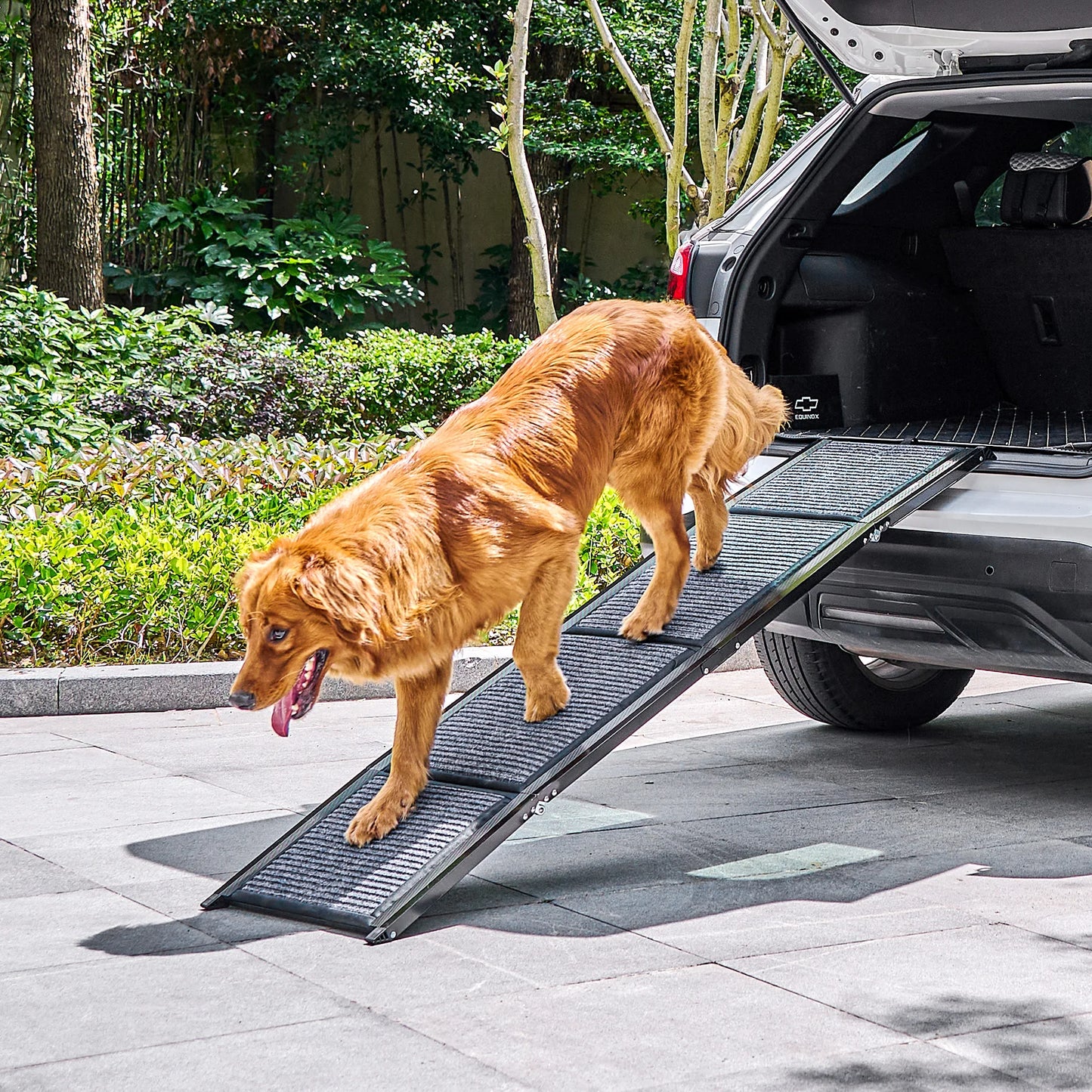 63" Folding Pet Ramp for Large Dogs- 17" Wide
