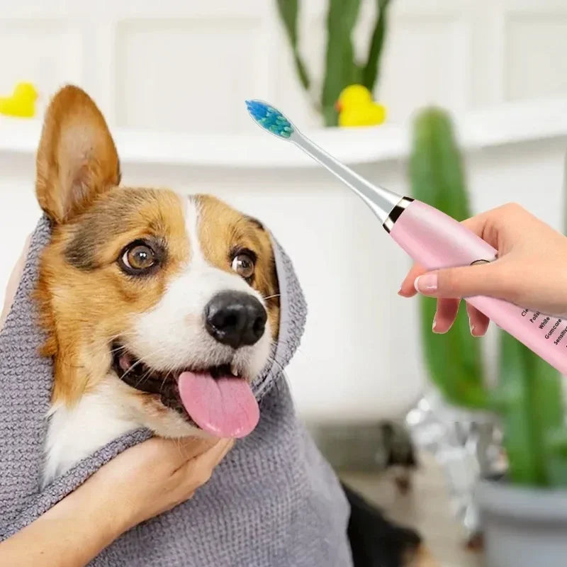 USB Rechargeable Toothbrush
