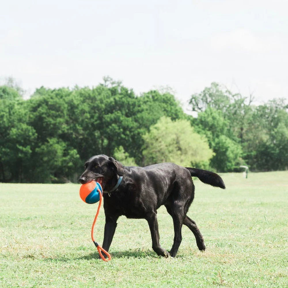 Rope Ball Fetch Dog Toy 18 Inch