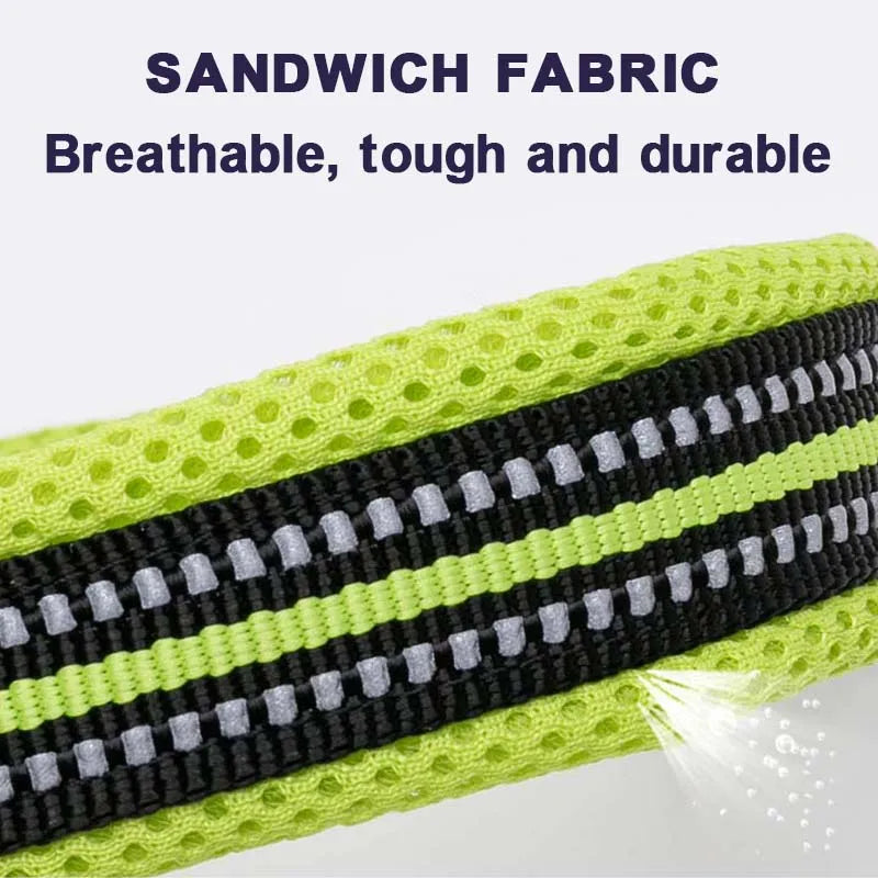 Padded Dog Walking Collar