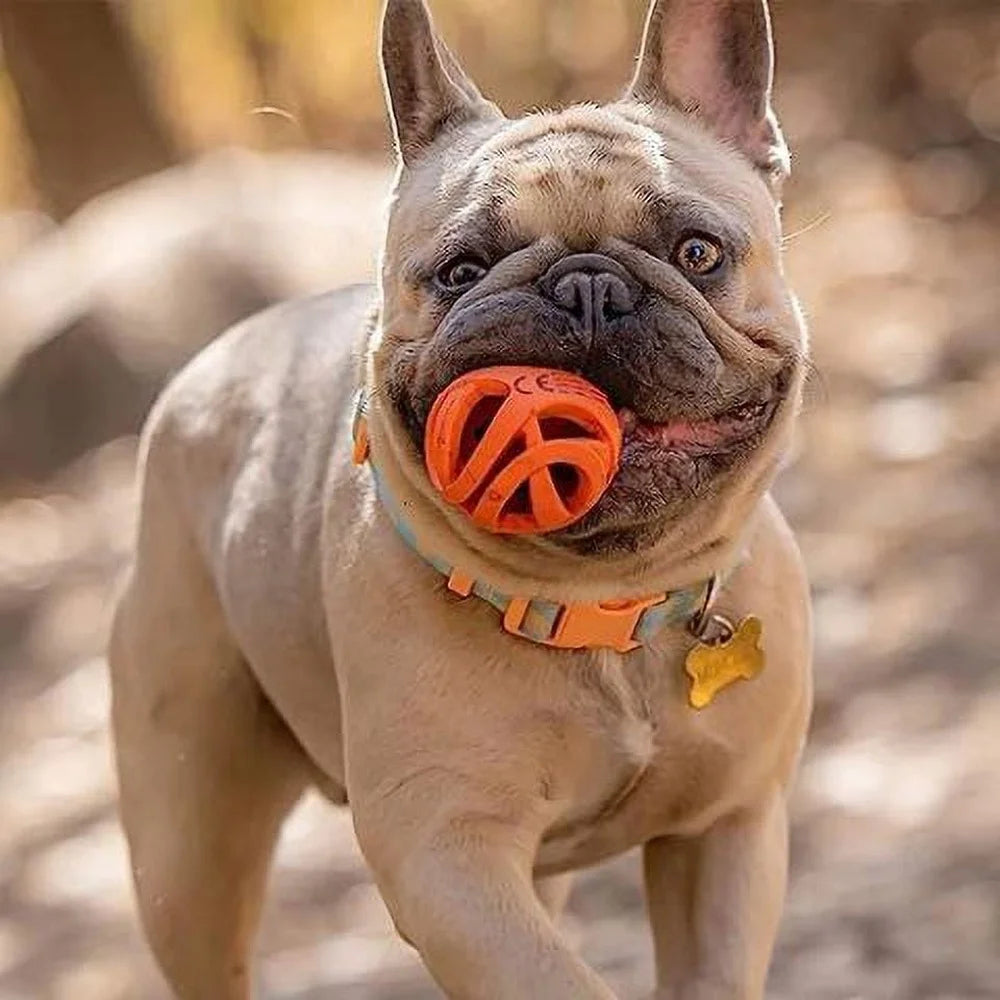 High Performance Dog Fetch Ball Set of 2
