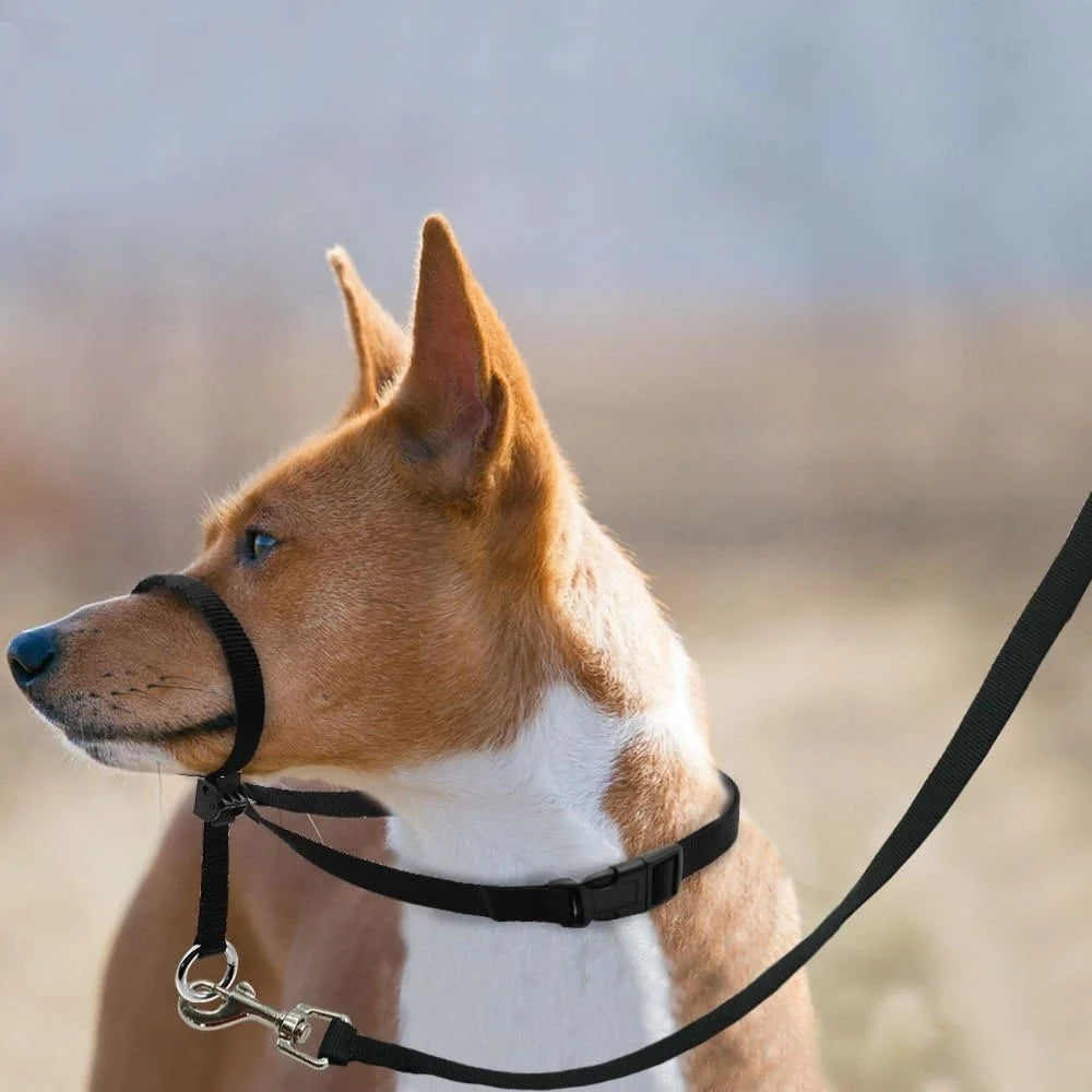 Head Halter Pulling Gentle Control Includes Leash