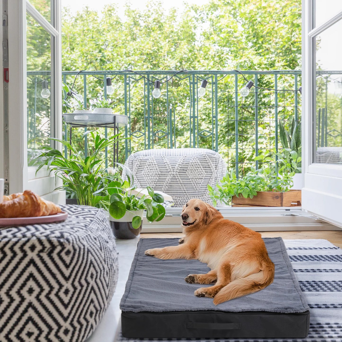 Orthopedic Dog Beds for Large Dogs