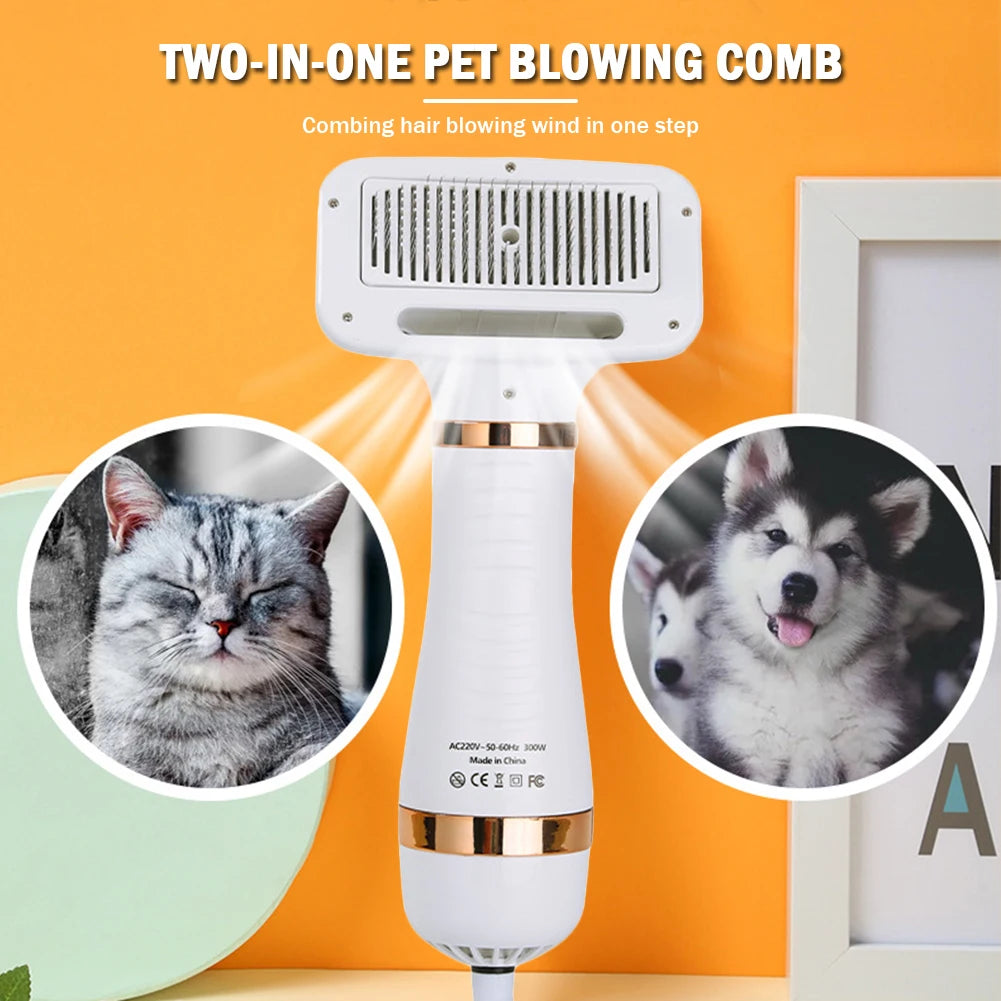2 in 1 Portable Low Noise Hair Dryer Comb