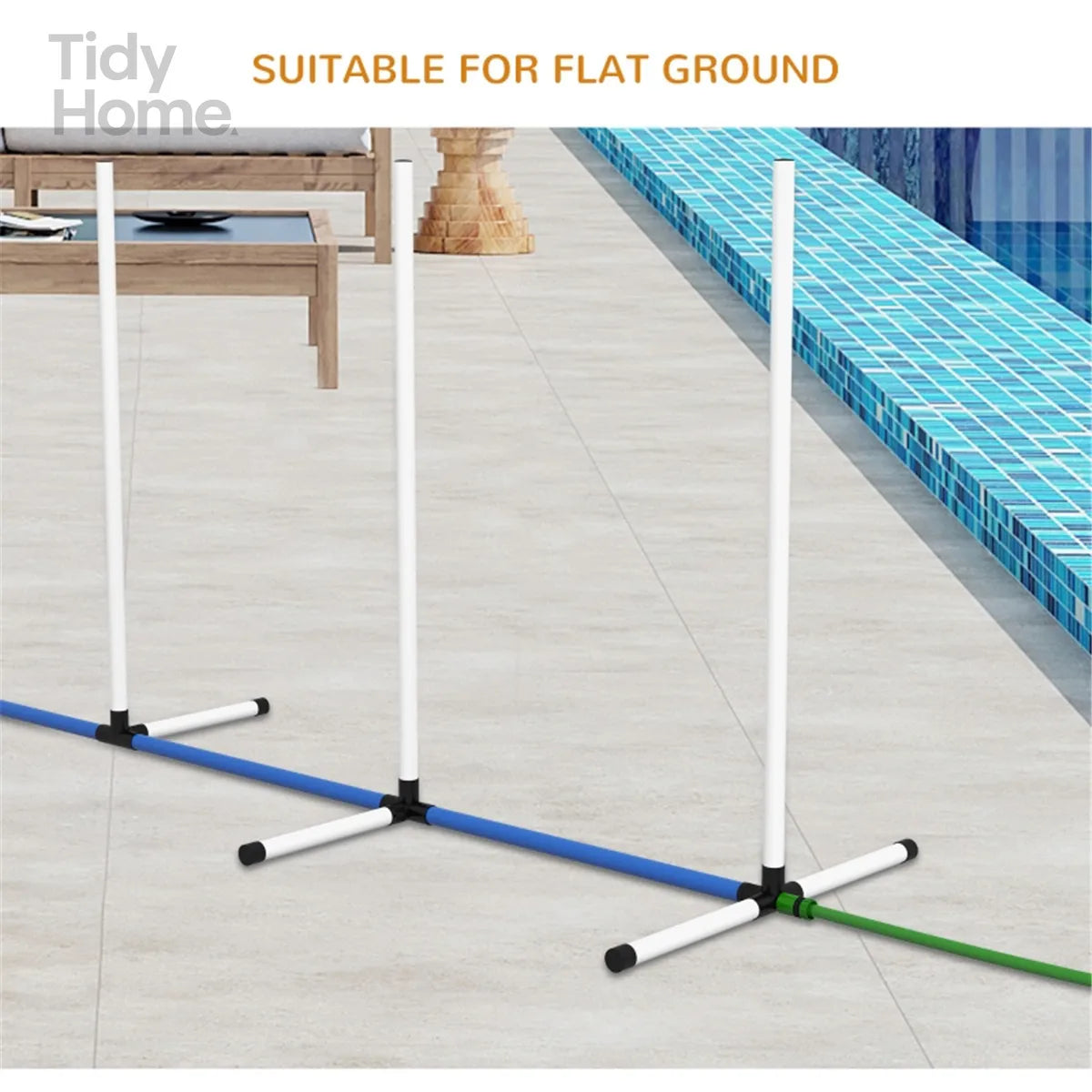 Outdoor Exercise Training Set For Dogs
