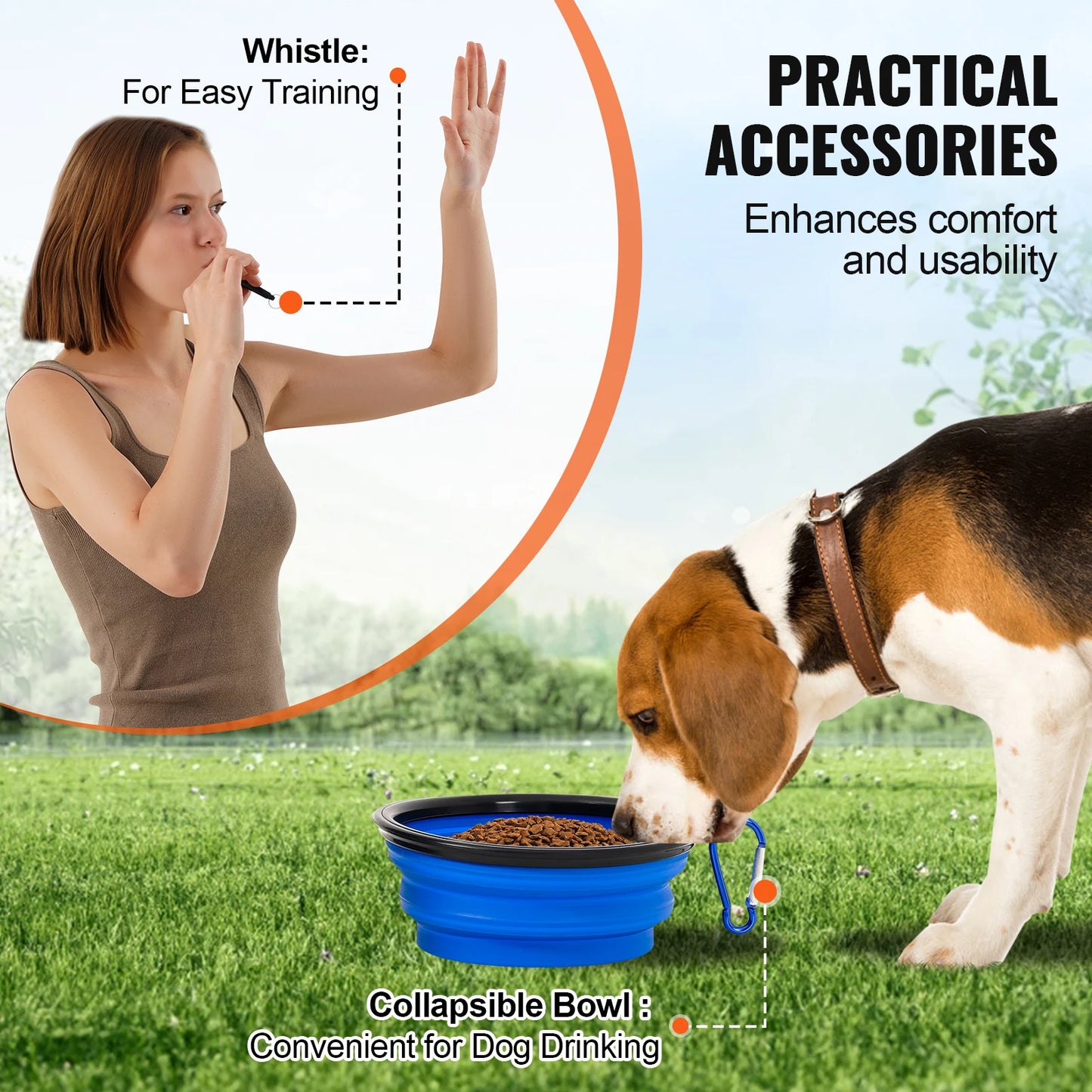 Dog Agility Training Equipment 4 PCS Set