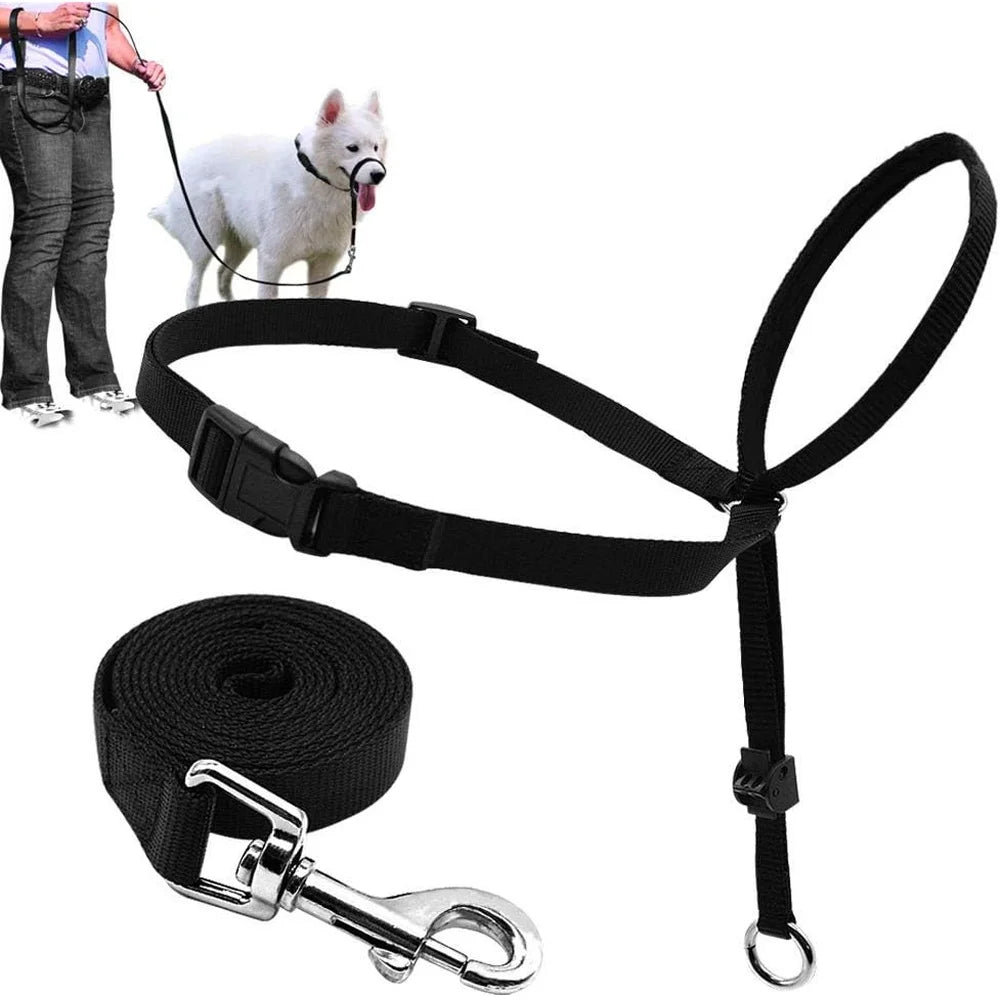 Head Halter Pulling Gentle Control Includes Leash