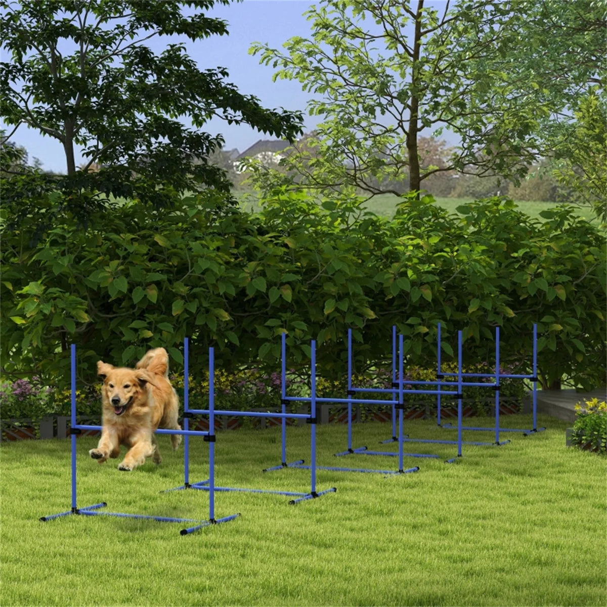Dog Agility Jump Fences Set