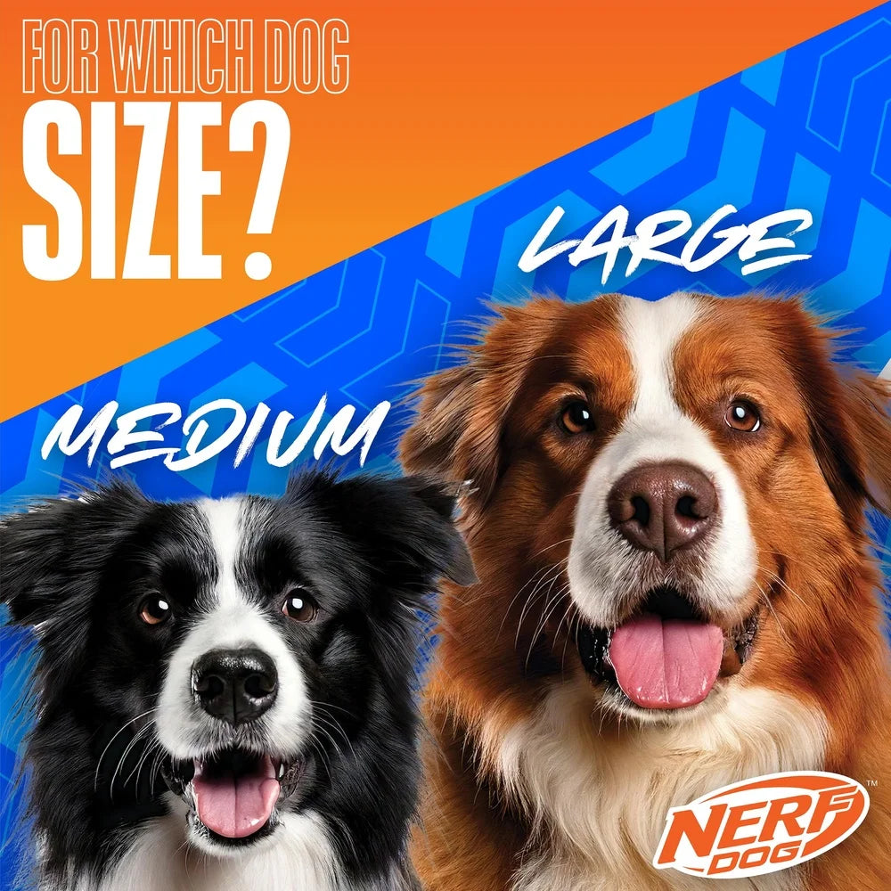 Durable 10 Inch TPR Flyer Dogs Toy