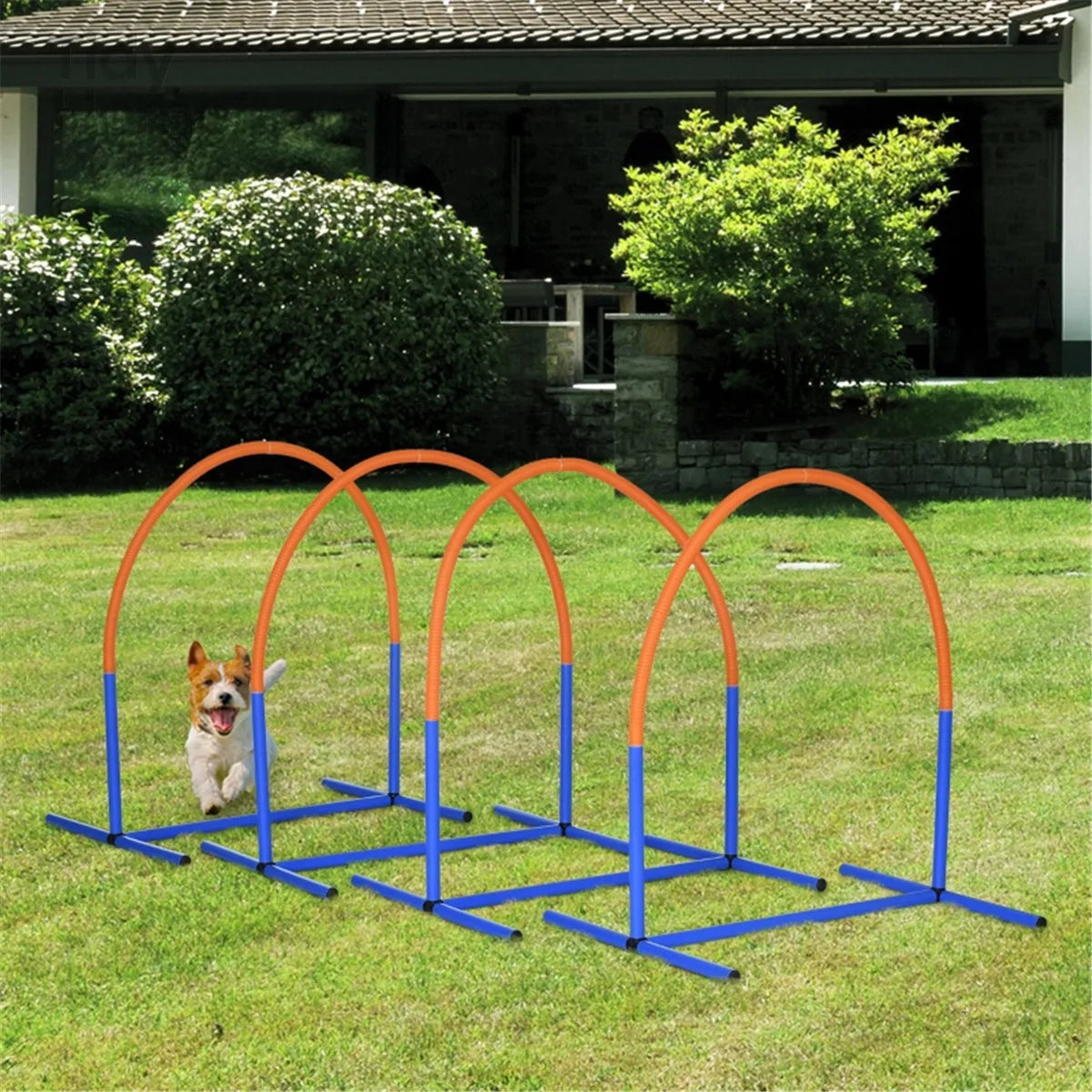 Dog Outdoor Exercise Training Set