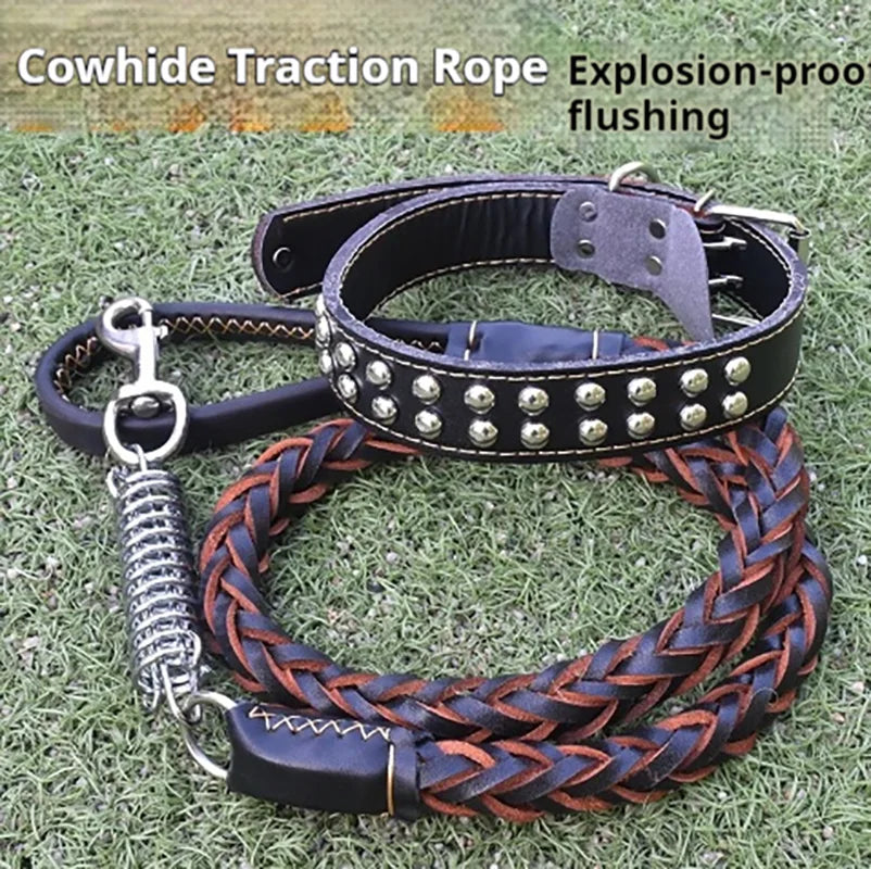 5-Foot Genuine Dog Leash with Cowhide Collar