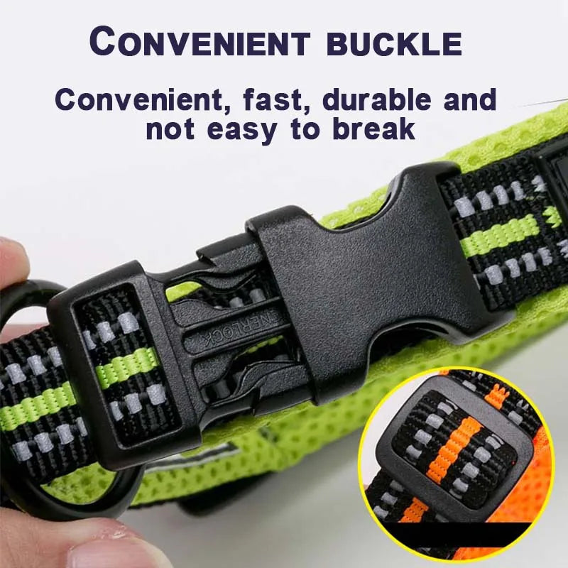 Padded Dog Walking Collar