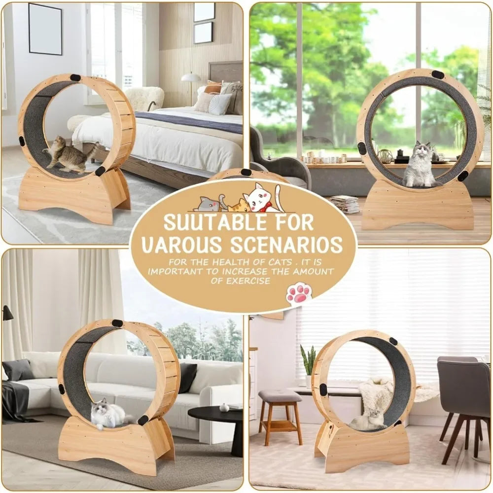 Cat Exercise Wheel