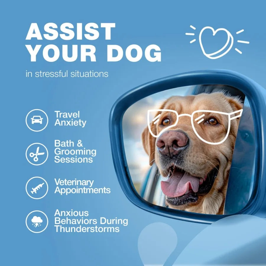 Hemp Calming Chews for Dogs