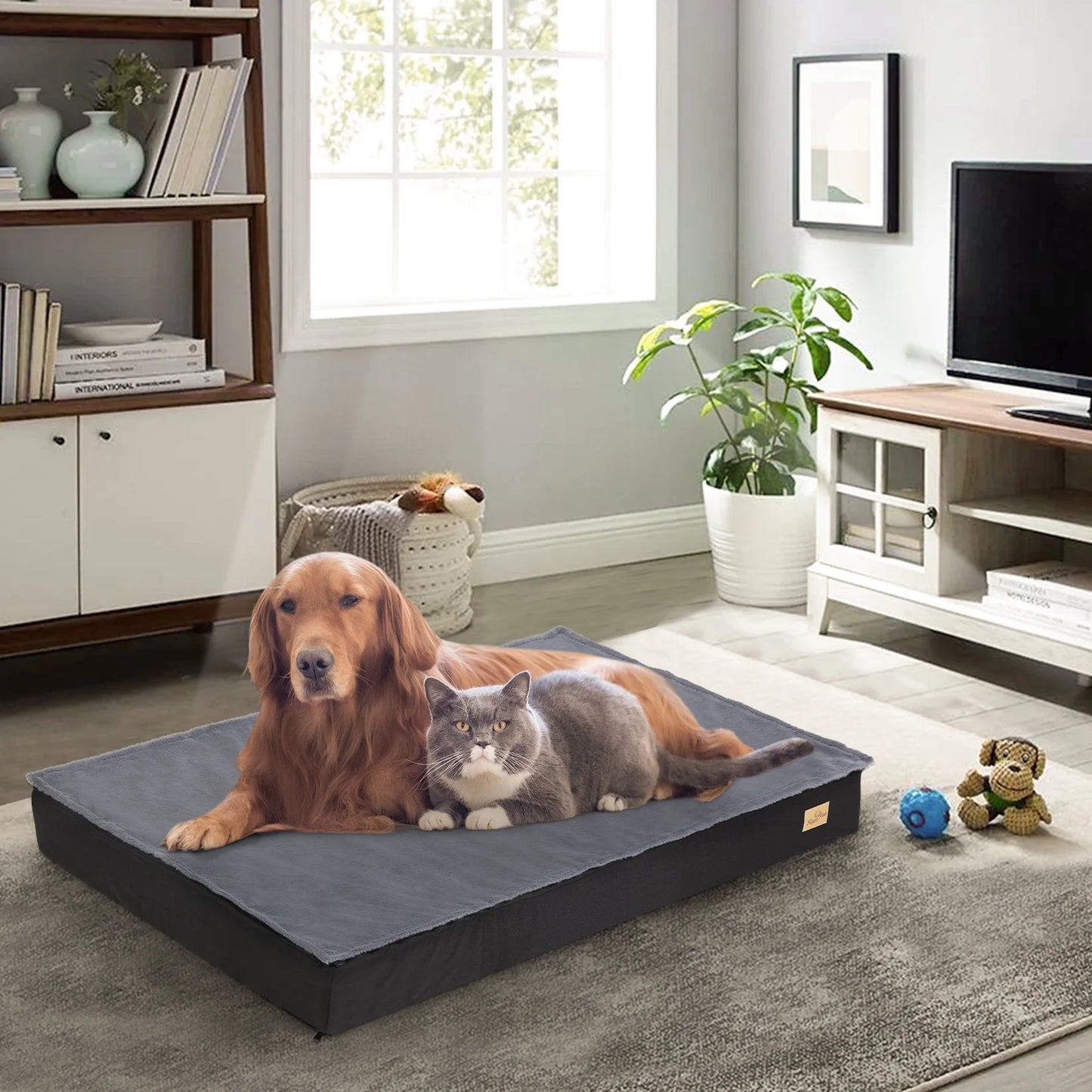 Orthopedic Dog Beds for Large Dogs