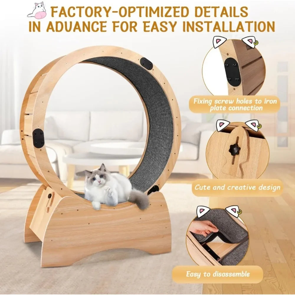 Cat Exercise Wheel
