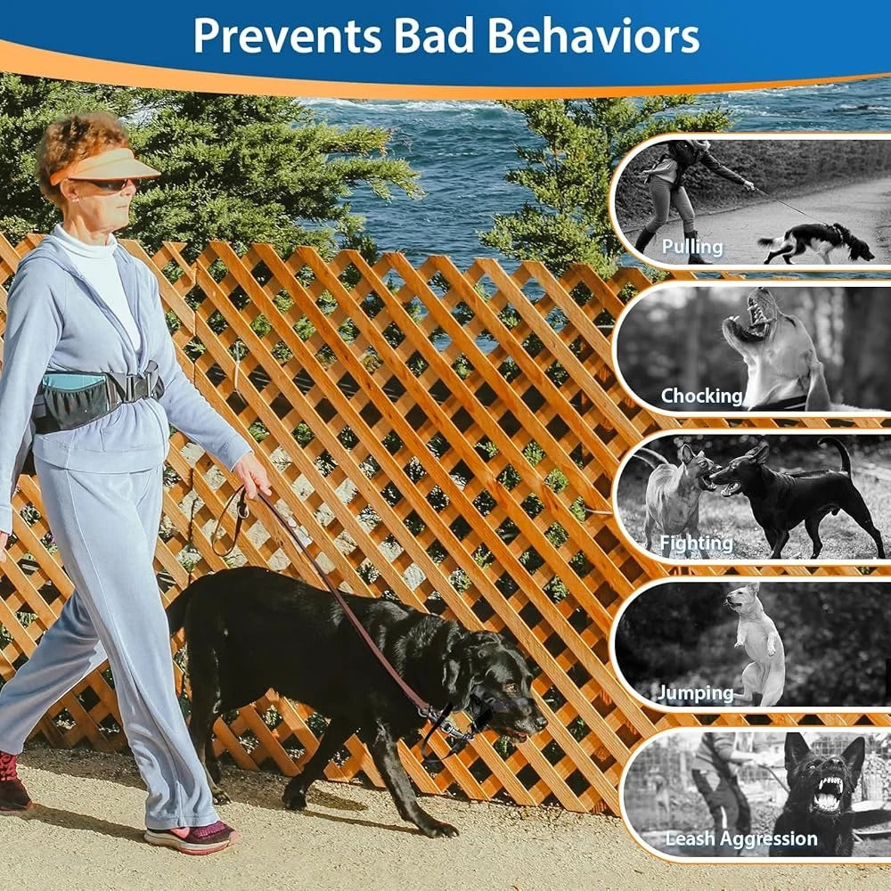 No Pull Dog Head Collar Training Harness