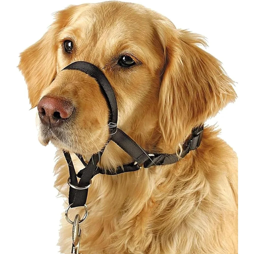 No Pull Dog Head Collar Training Harness