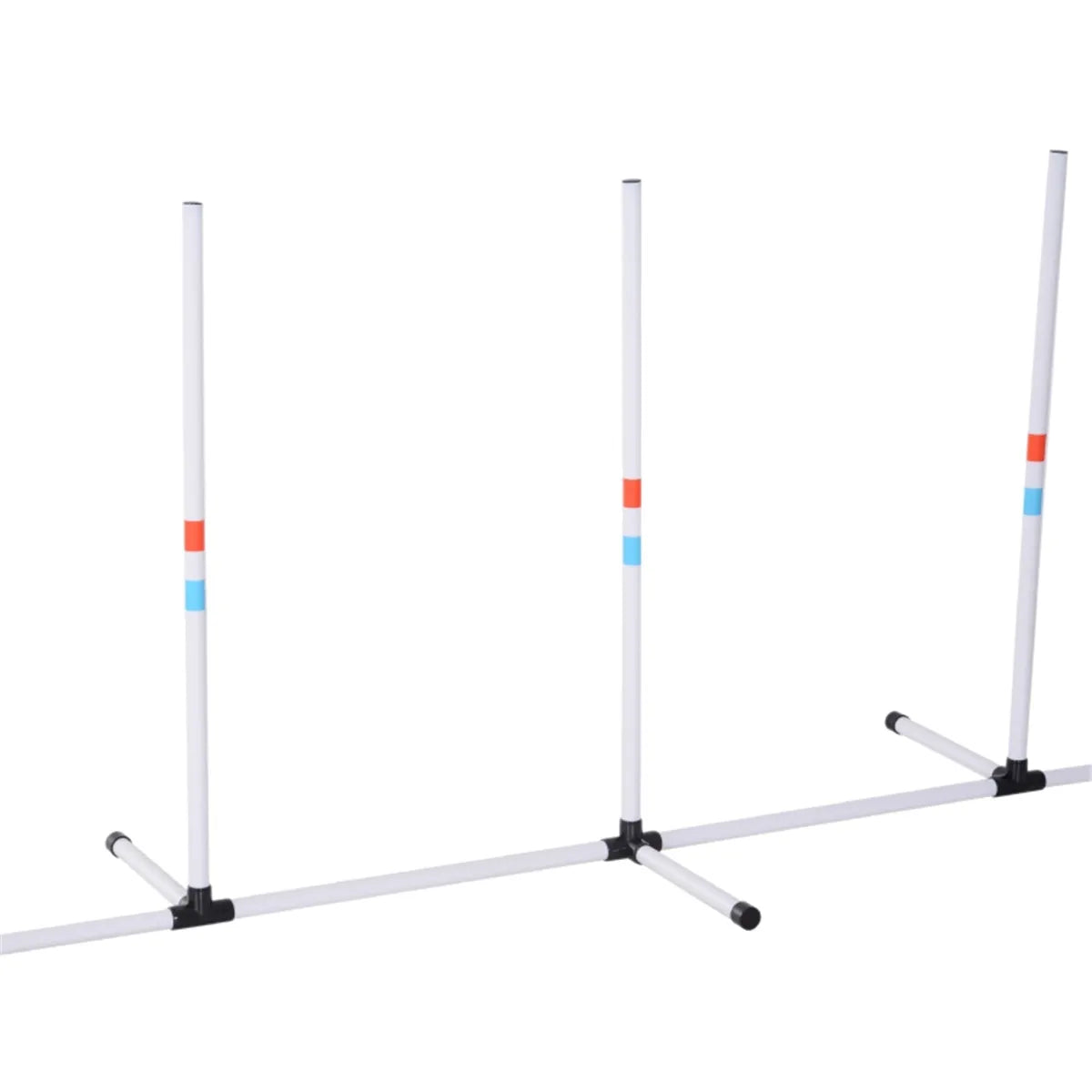 Dog Outdoor Exercise Training Set