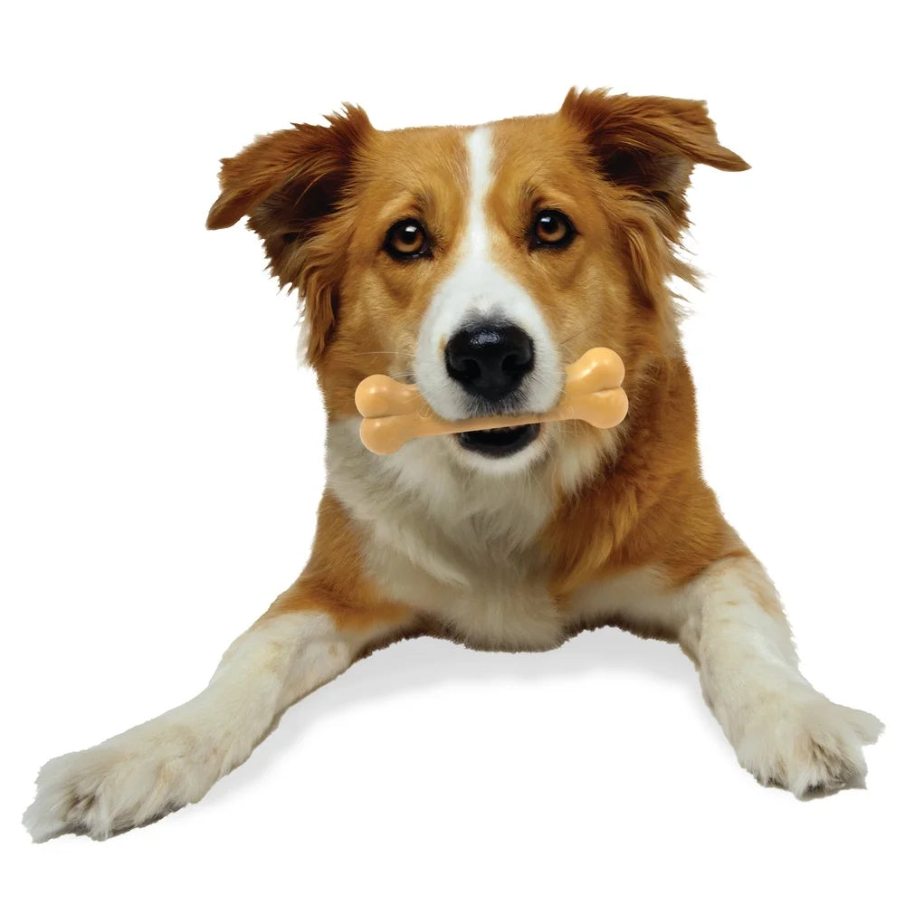 Durable Nylon Toy Chew Bone Peanut Butter Flavor
