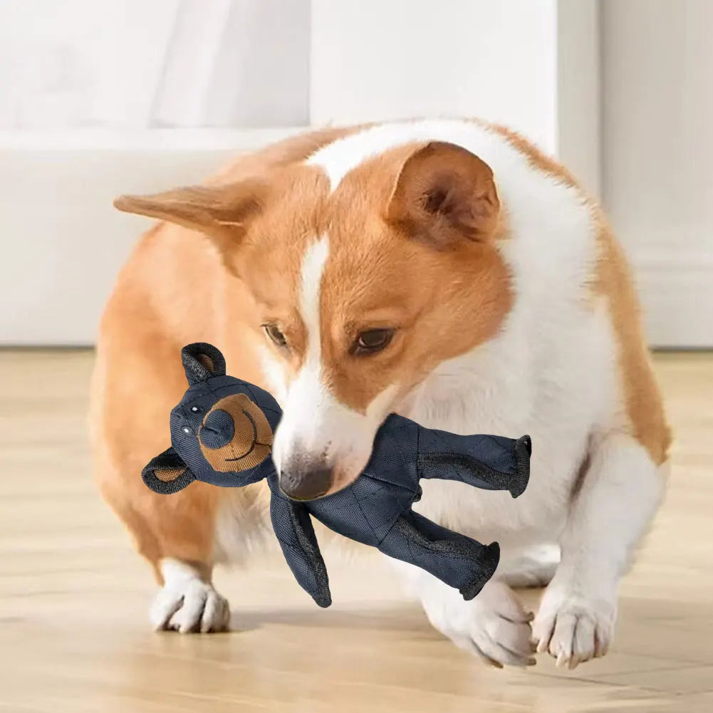 Bear Pet Sound making Toy