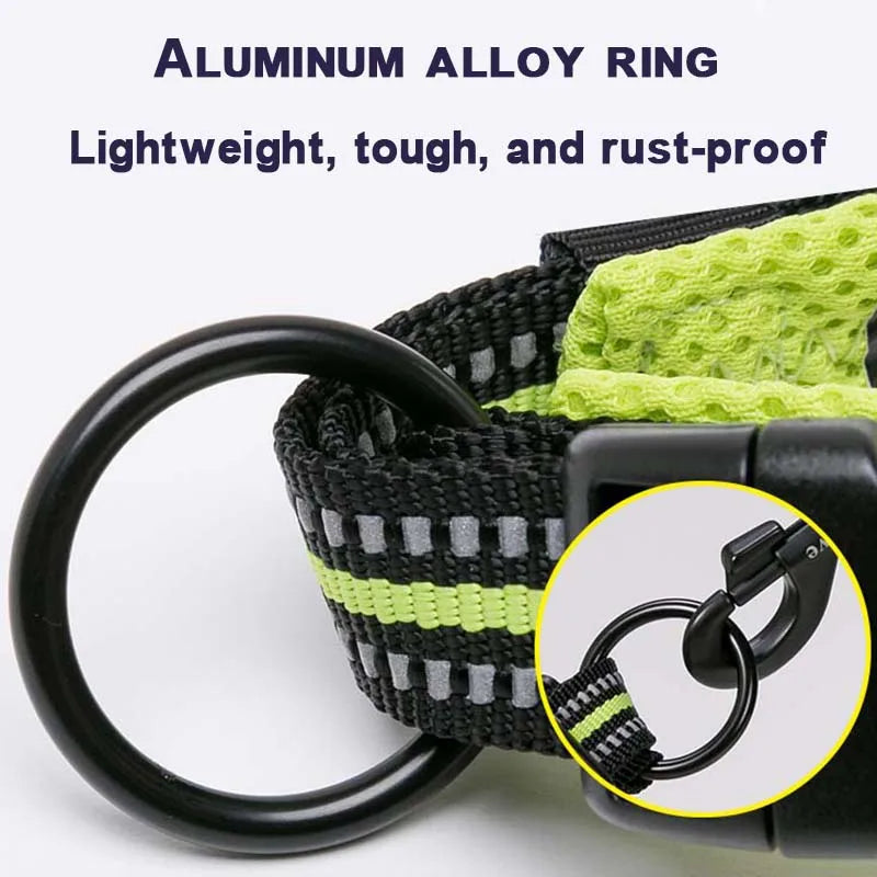 Padded Dog Walking Collar