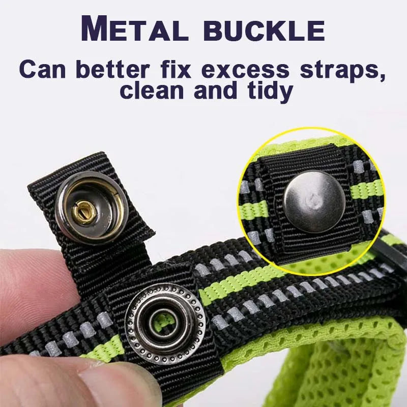 Padded Dog Walking Collar