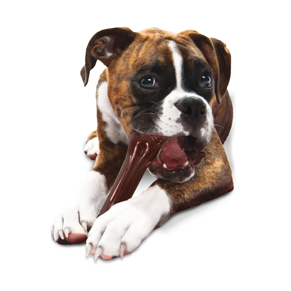 Durable Power Chew Knuckle Bone