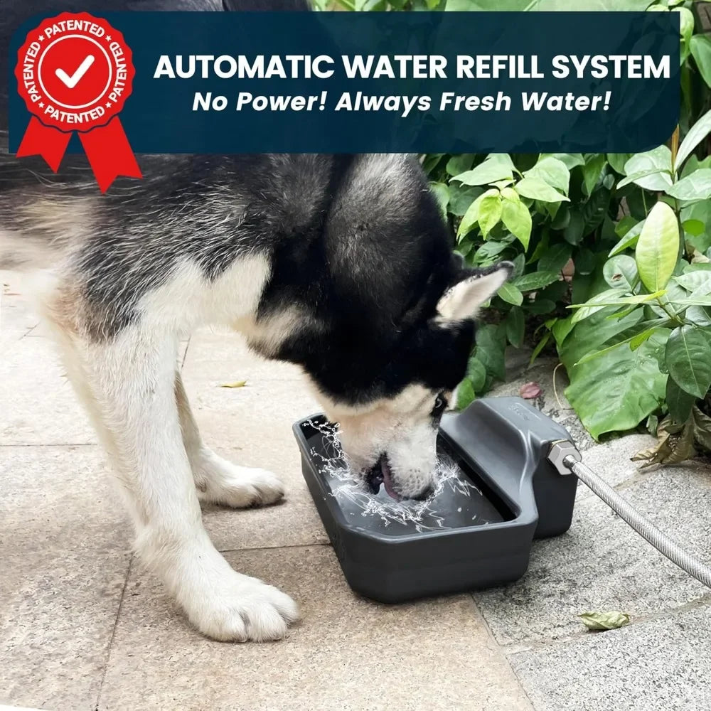 Automatic Dog Water Dispenser, 1 Gallon