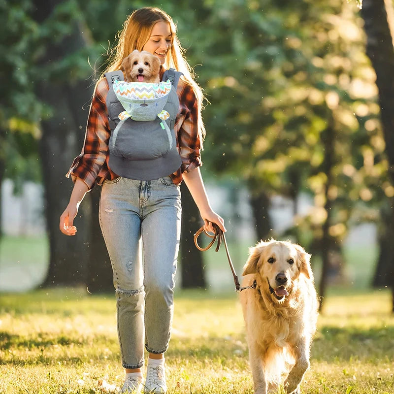 Pet Carrier For Dogs And Cats