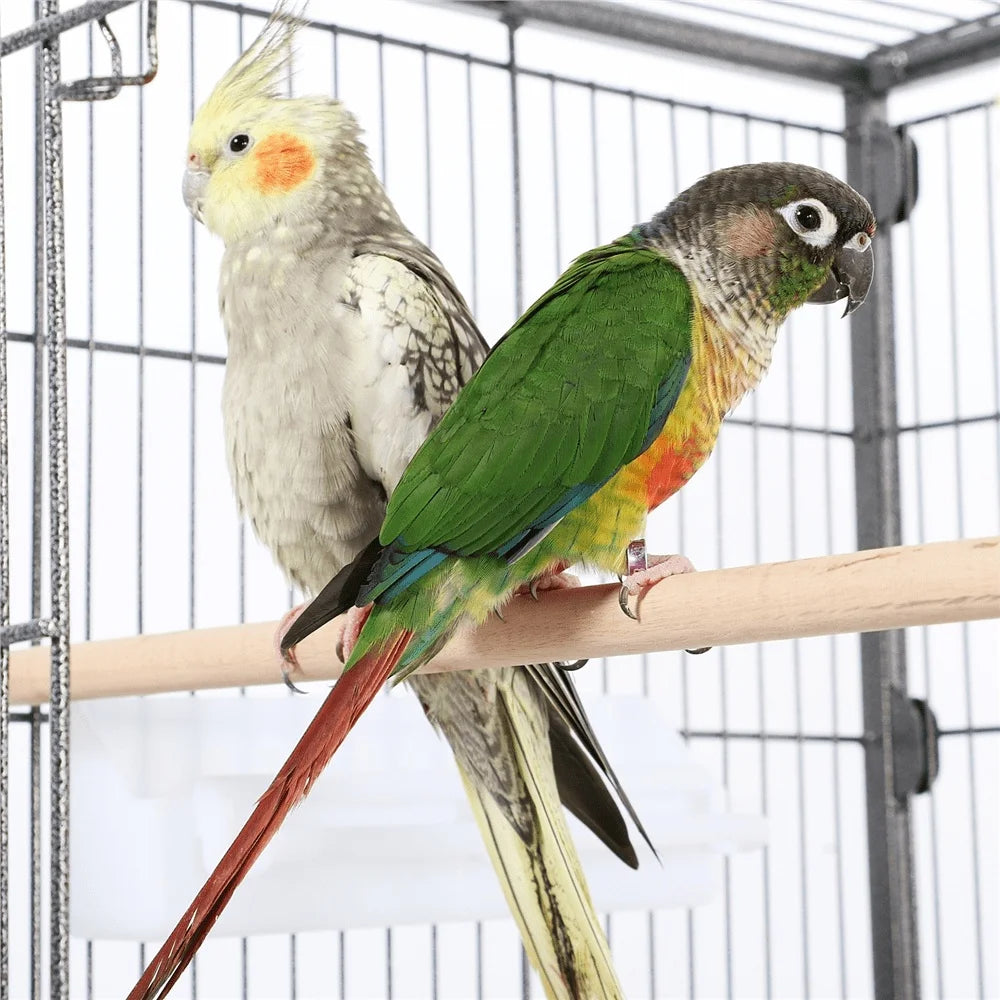 52inch Heavy Duty Bird Cage