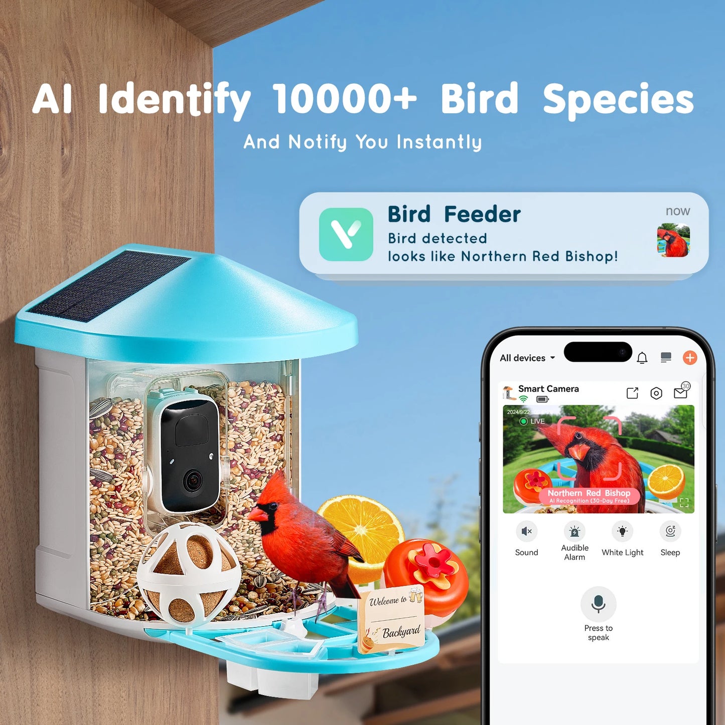 Smart Bird Feeder with Camera 2KHD