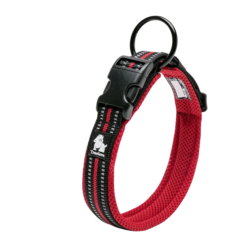 Padded Dog Walking Collar