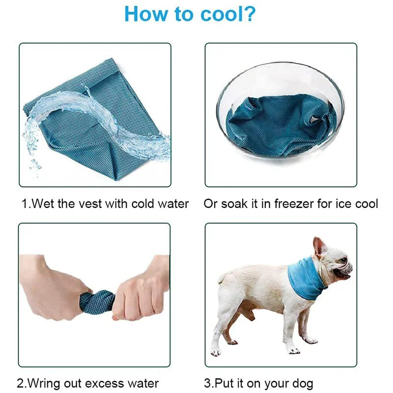 Reusable Instant Cooling Bandana with Leash Hole
