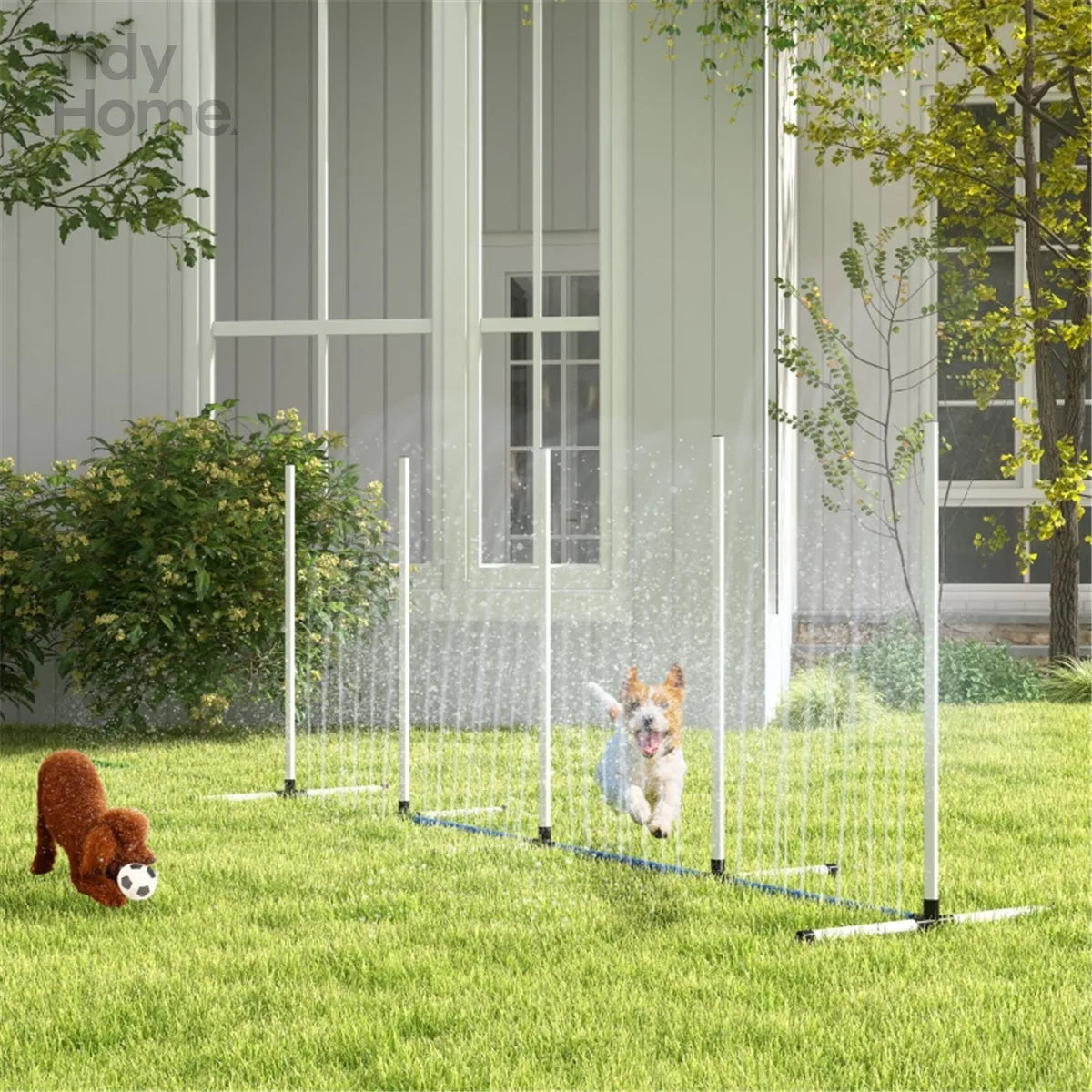 Outdoor Exercise Training Set For Dogs