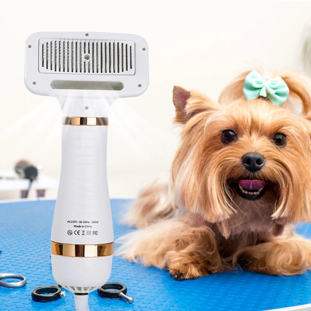 2 in 1 Portable Low Noise Hair Dryer Comb
