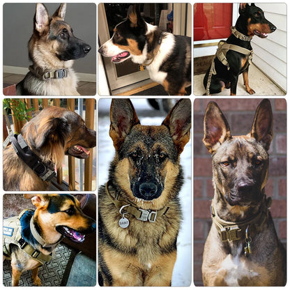 Training Collar Adjustable Tactical Dog Collar
