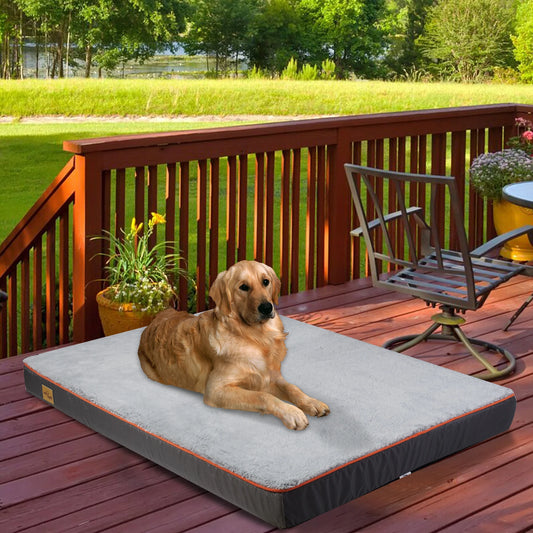 Large Orthopedic Dog Bed