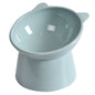 Tilted Food Bowl- Elevated Raised Dog Bowl Non Slip