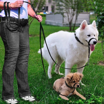 Head Halter Pulling Gentle Control Includes Leash