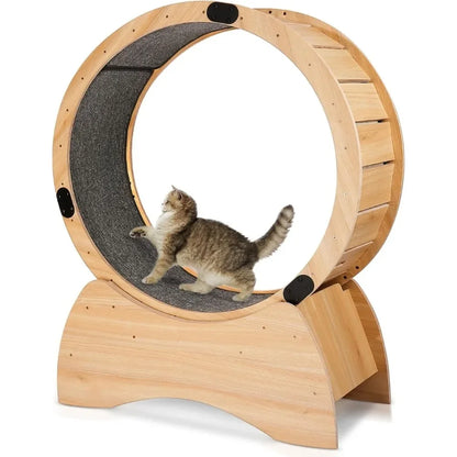 Cat Exercise Wheel