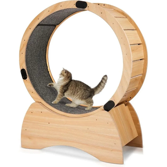Cat Exercise Wheel