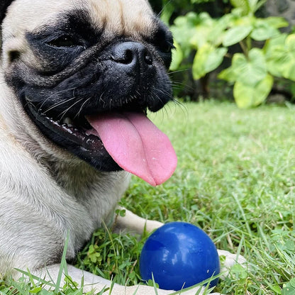 Super Chewy Tough Dog Ball