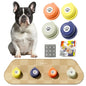 Dog Talking Button Set with Mat- 12 Pack