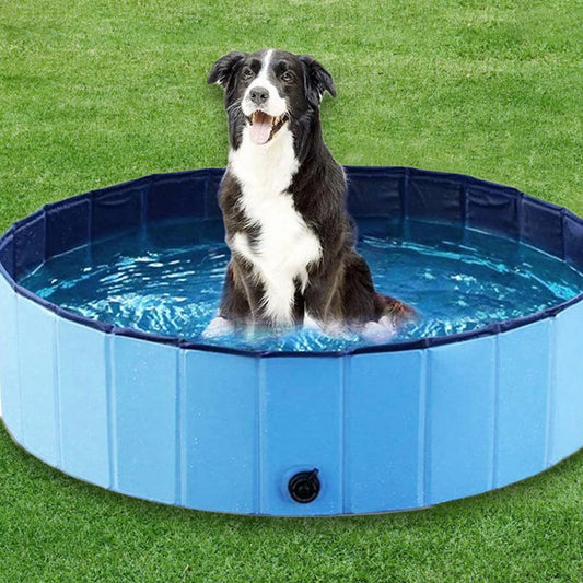 Scratch Resistance Dog Swimming Pool