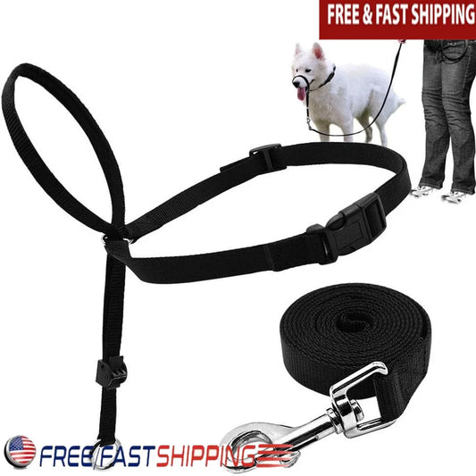 Head Halter Pulling Gentle Control Includes Leash