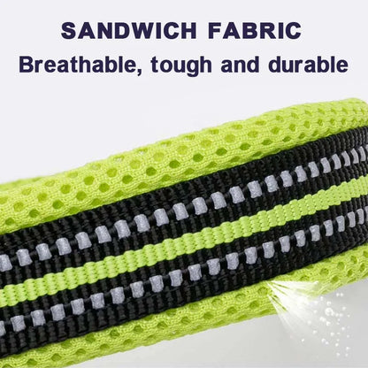 Padded Dog Walking Collar