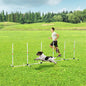 Dog Outdoor Exercise Training Set