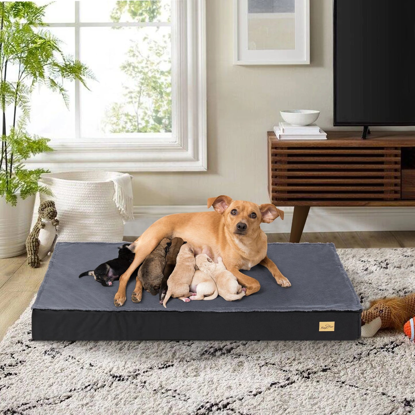 Comfortable Orthopedic Dog Bed